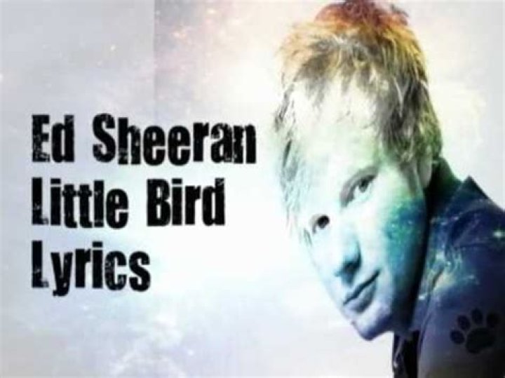 Ed Sheeran - Little Bird Lyrics Meaning