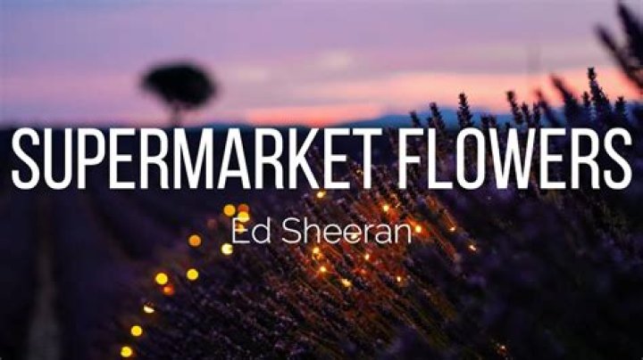 Ed Sheeran - Supermarket Flowers Lyrics Meaning