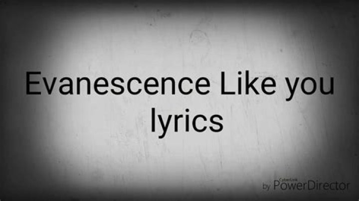 Evanescence - Like You Lyrics Meaning