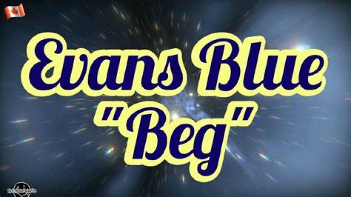 Evans Blue - Beg Lyrics Meaning