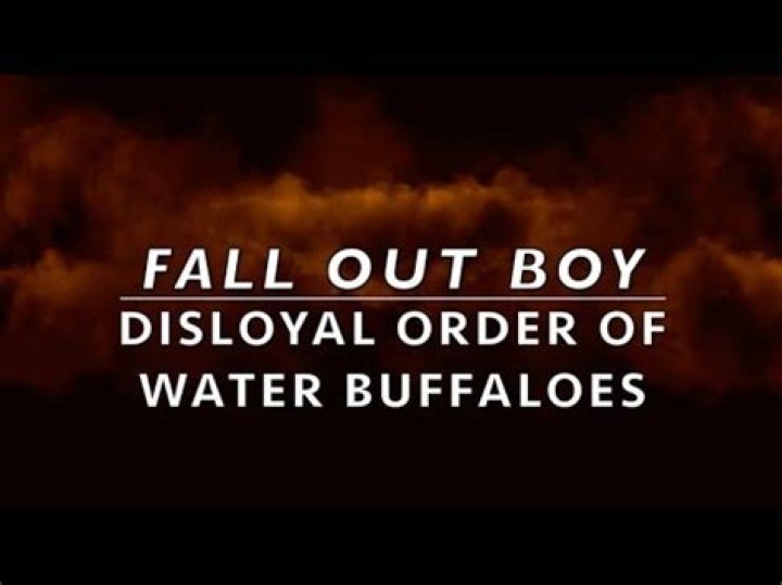 Fall Out Boy - Disloyal Order of Water Buffaloes Lyrics Meaning