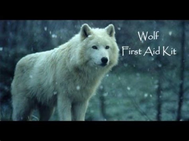 First Aid Kit - Wolf Lyrics Meaning
