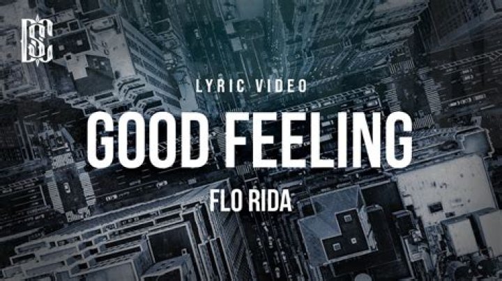 Flo Rida - Good Feeling Lyrics Meaning