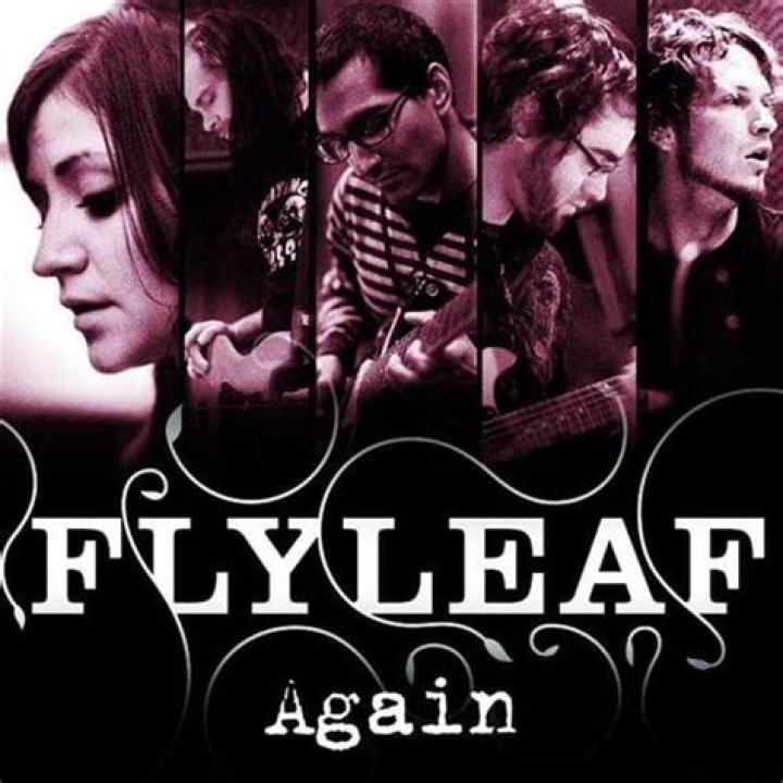 Flyleaf - Again Lyrics Meaning
