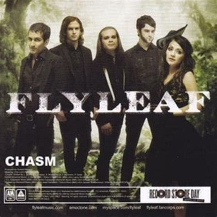 Flyleaf - Chasm Lyrics Meaning