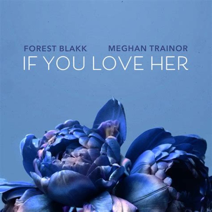 Forest Blakk - If You Love Her Lyrics Meaning