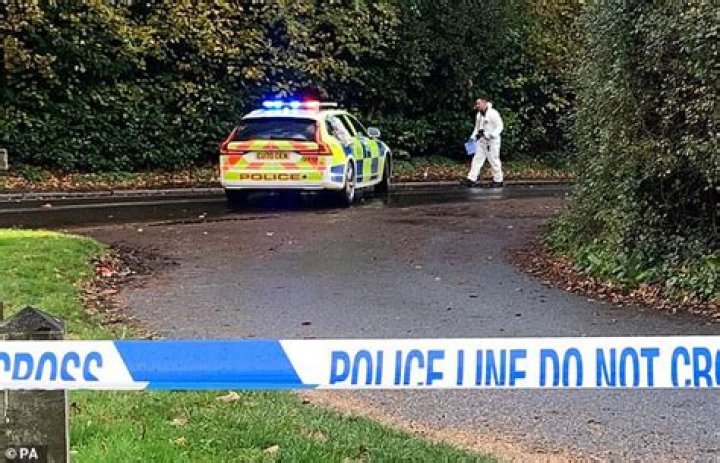 Freddie Coleman Billericay Car Accident a 15 year old boy died