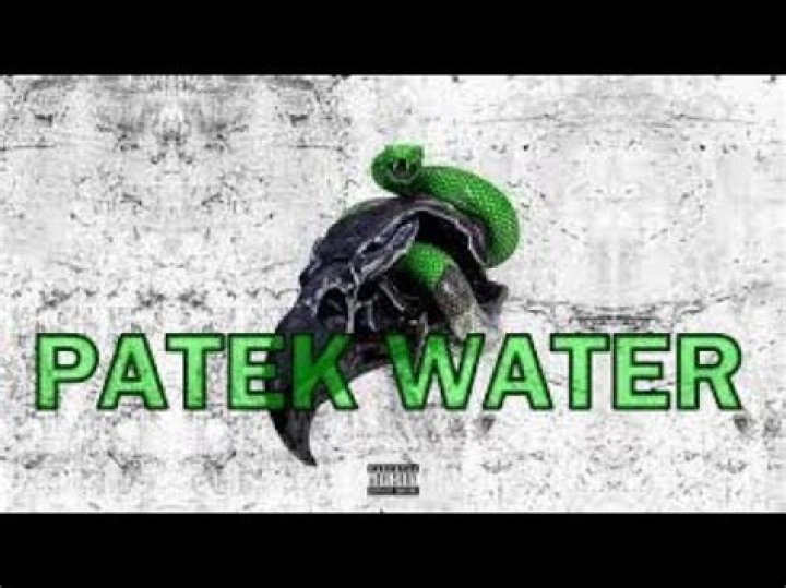 Future - Patek Water Lyrics Meaning