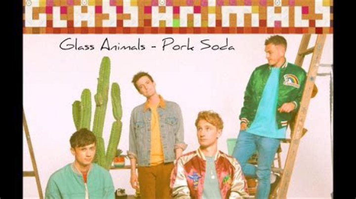 Glass Animals - Pork Soda Lyrics Meaning