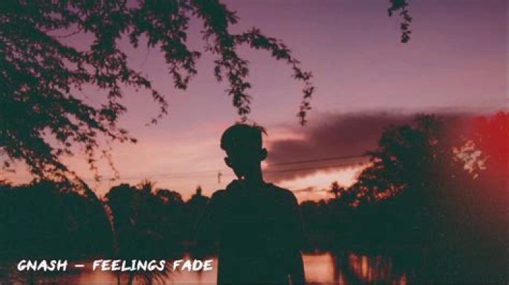 gnash feelings fade Lyrics
