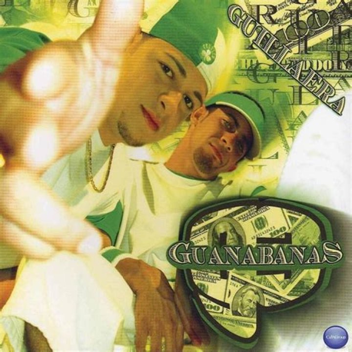 Guanabanas Mi Gatita Y Yo Lyrics English Translation
