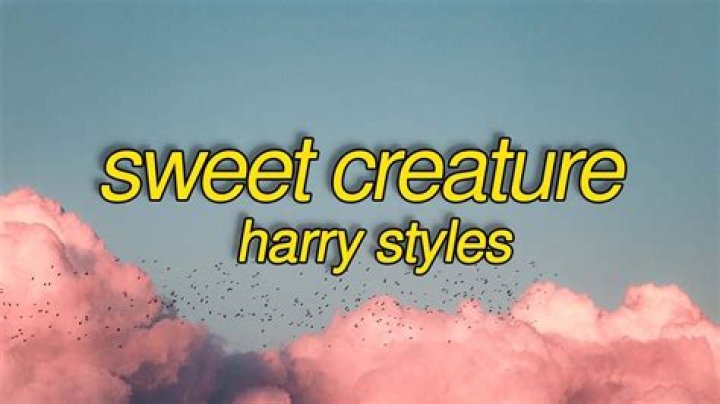 Harry Styles - Sweet Creature Lyrics Meaning