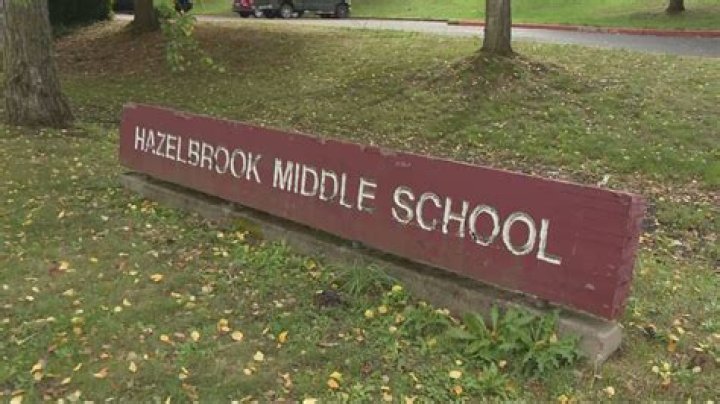 Hazelbrook Middle School Fight Video: Uncovering Insights and Examining the Impact of a Viral Video