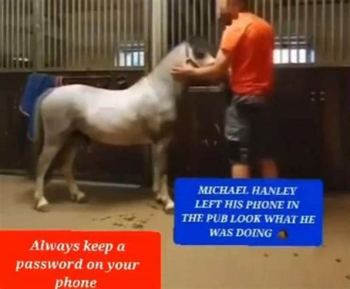 [HOT] Michael Hanley Horse Video Twitter, Reddit Disturbing Goes Viral