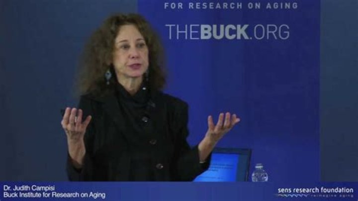 Hot News! Dr. Judy Campisi Obituary: The American scientific community mourns:: Renowned Biochemist and Cell Biologist Dr. Judy Campisi Succumbs to Battle with Breast Cancer.