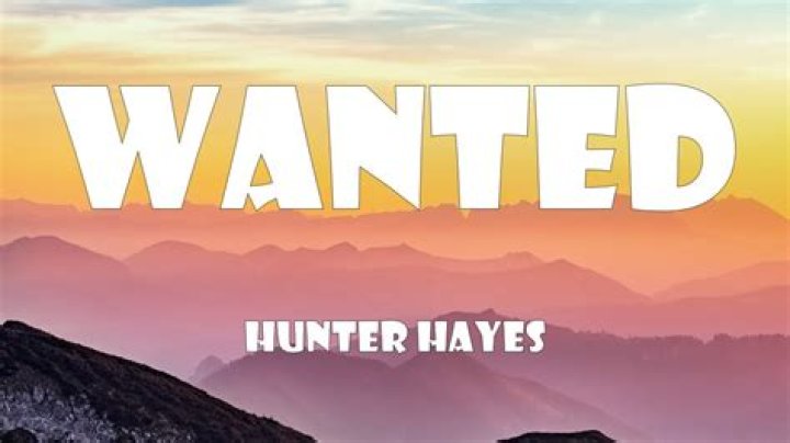 Hunter Hayes - Wanted Lyrics Meaning