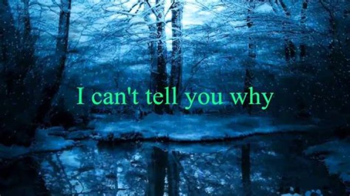 I Can't Tell You Why Lyrics Meaning