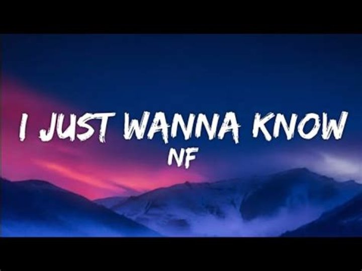 I Just Wanna Know Lyrics Meaning