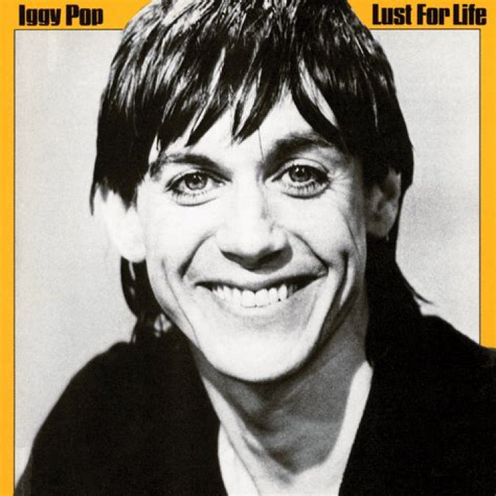 Iggy Pop Lust For Life Lyrics