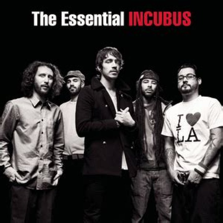 Incubus - Megalomaniac Lyrics Meaning