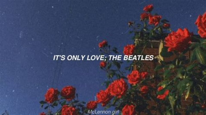 It's Only Love Lyrics Meaning