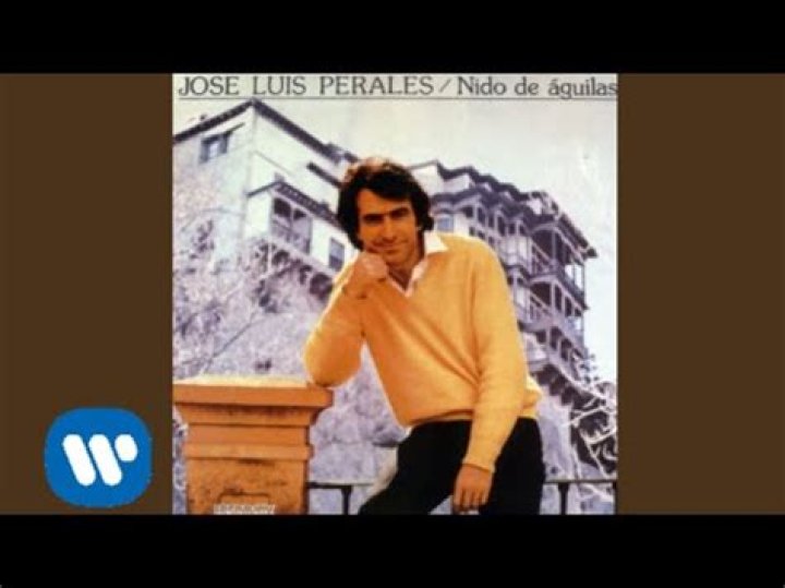José Luis Perales Muchacho solitario Lyrics English Translation
