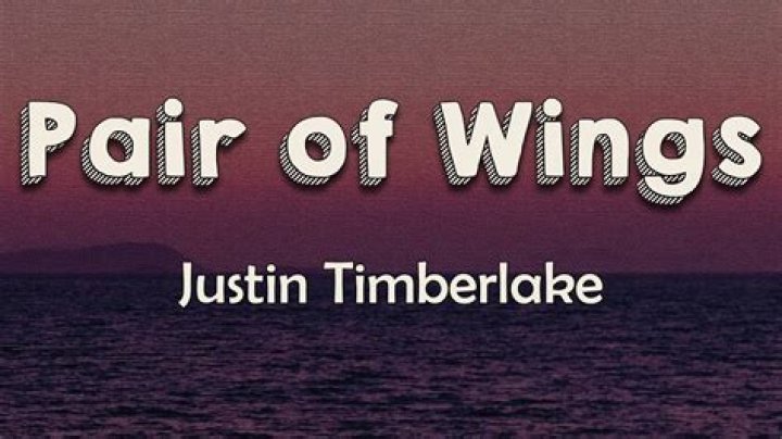 Justin Timberlake - Pair of Wings Lyrics Meaning