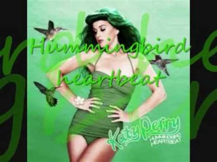 Katy Perry - Hummingbird Heartbeat Lyrics Meaning