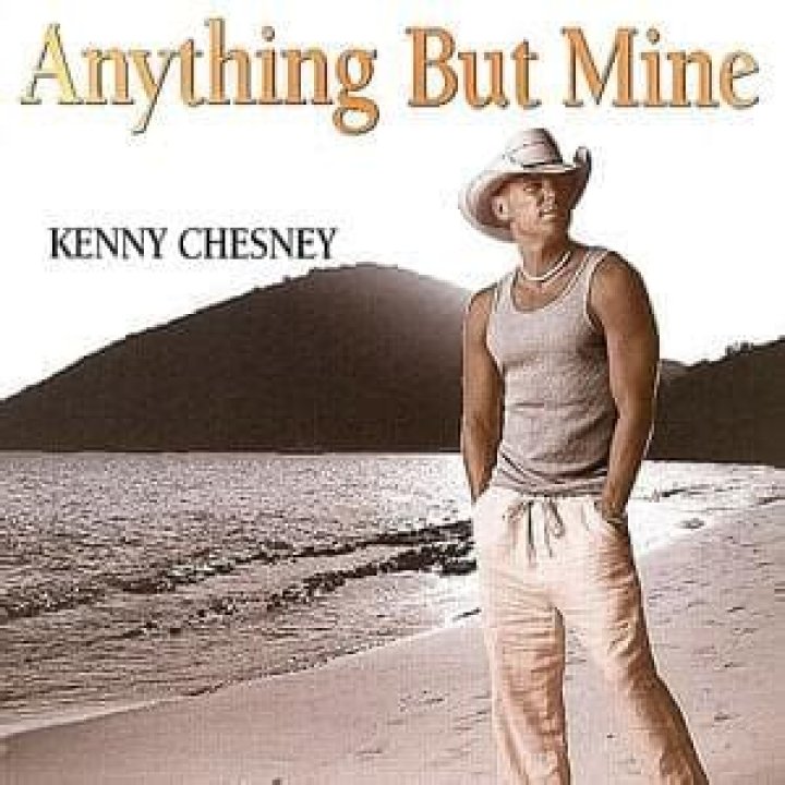 Kenny Chesney - Anything but Mine Lyrics Meaning