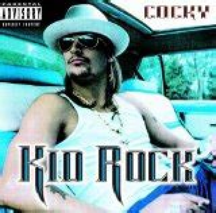 Kid Rock - Picture Lyrics Meaning