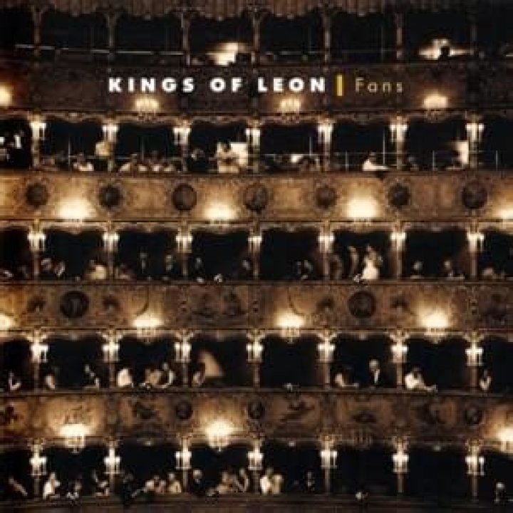 Kings of Leon - Fans Lyrics Meaning