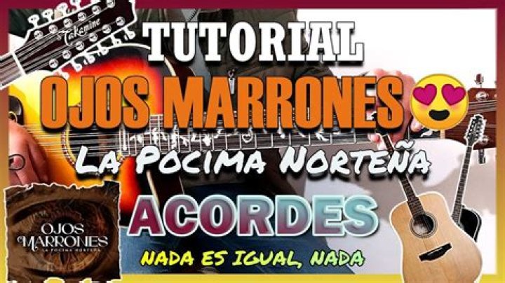 La Pocima Norteña Ojos Marrones Lyrics English Translation