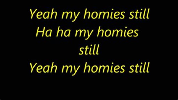 Lil Wayne - My Homies Still Lyrics Meaning