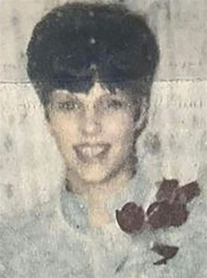 Linda Lerner Harvey Obituary – Death News Michigan: In loving memory of Linda Lerner Harvey Has Dies