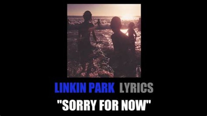 Linkin Park - Sorry For Now Lyrics Meaning