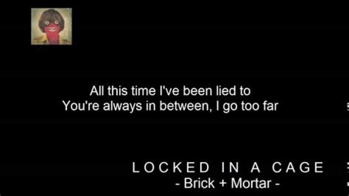 Locked in a Cage Lyrics Meaning