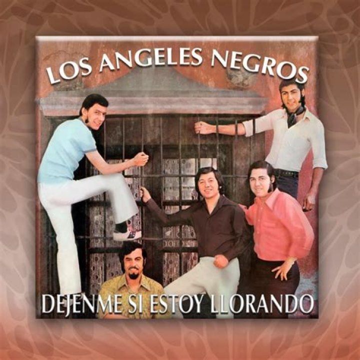 Los Angeles Negros Déjenme Si Estoy Llorando Lyrics English Translation