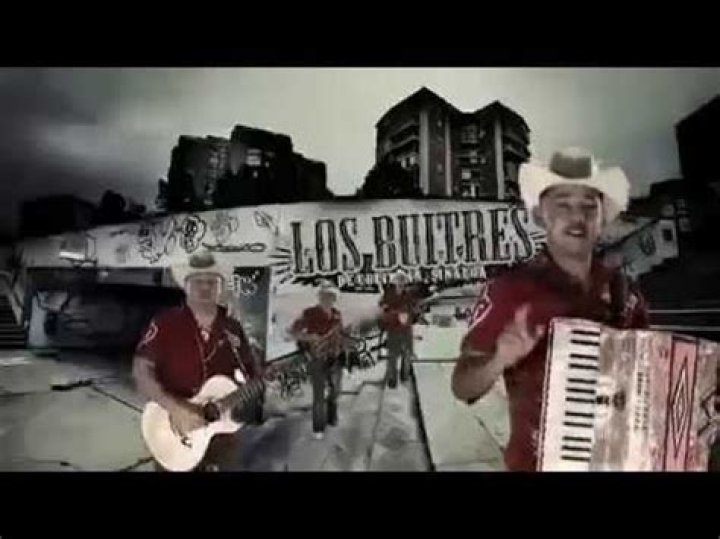 Los Buitres De Culiacan Sinaloa El Cocaino (En Vivo) Lyrics English Translation