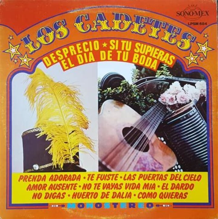 Los Cadetes De Linares Amor Ausente Lyrics English Translation