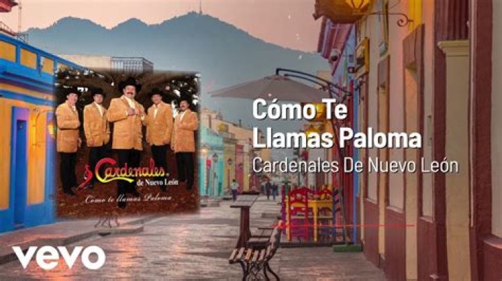 Los Cardenales de Nuevo Leon Cómo Te Llamas Paloma Lyrics English Translation