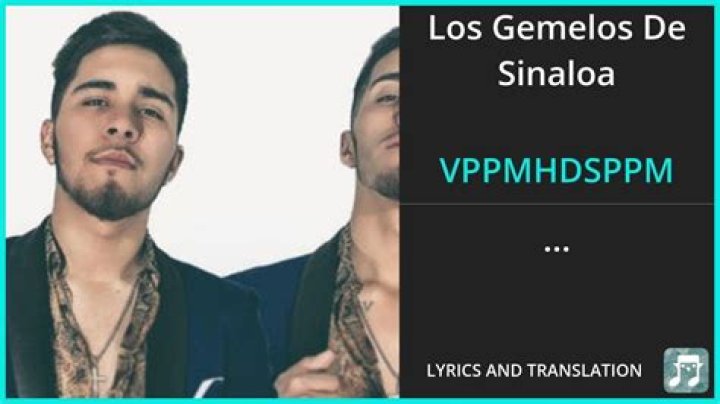 Los Gemelos De Sinaloa El Michoacano Lyrics English Translation