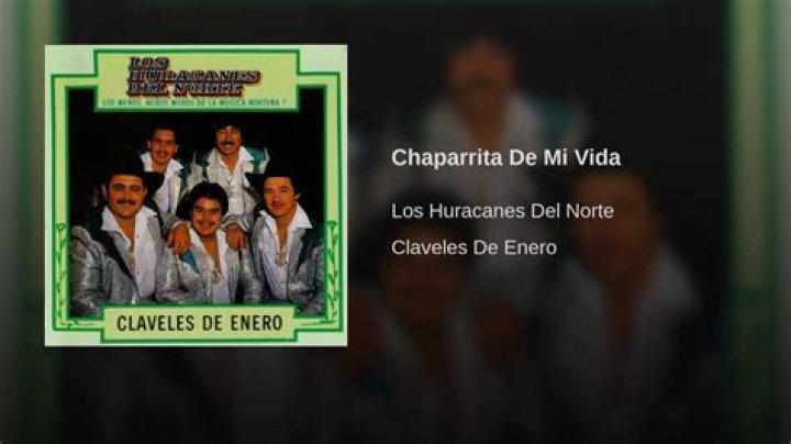 Los Huracanes Del Norte Chaparrita De Mi Vida Lyrics English Translation