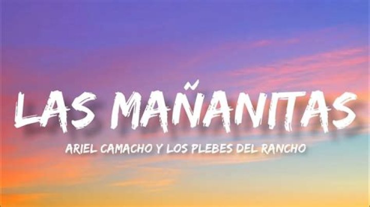 Los Plebes del Rancho de Ariel Camacho Mi Riqueza Lyrics English Translation