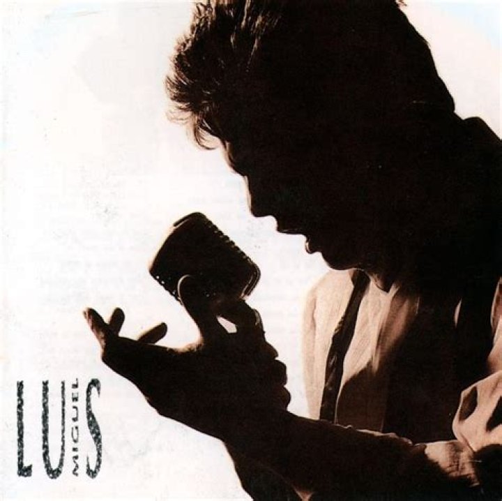 Luis Miguel Usted Lyrics