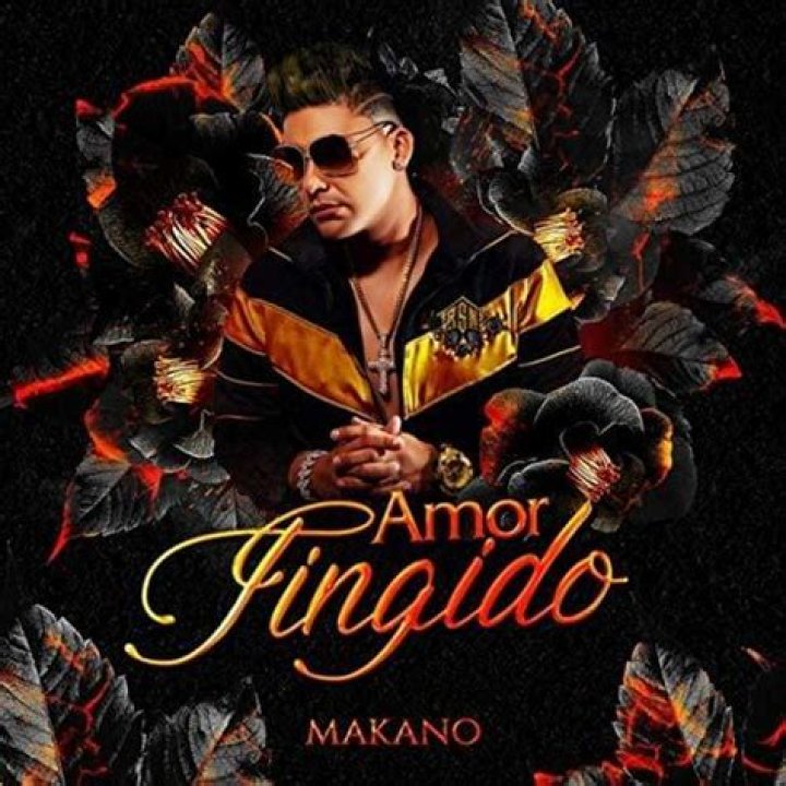 Makano Amor Fingido Lyrics English Translation