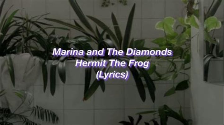 Marina and the Diamonds - Hermit the Frog Lyrics Meaning