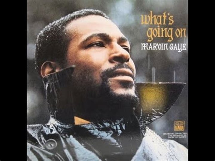 Marvin Gaye - What's Going On? Lyrics Meaning