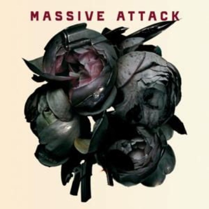 Massive Attack - Teardrop Lyrics Meaning