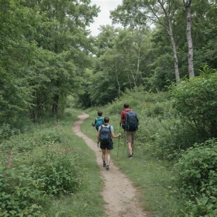 Matthew Robert death: Identified as missing Goshen man found dead near Stonelick State Park