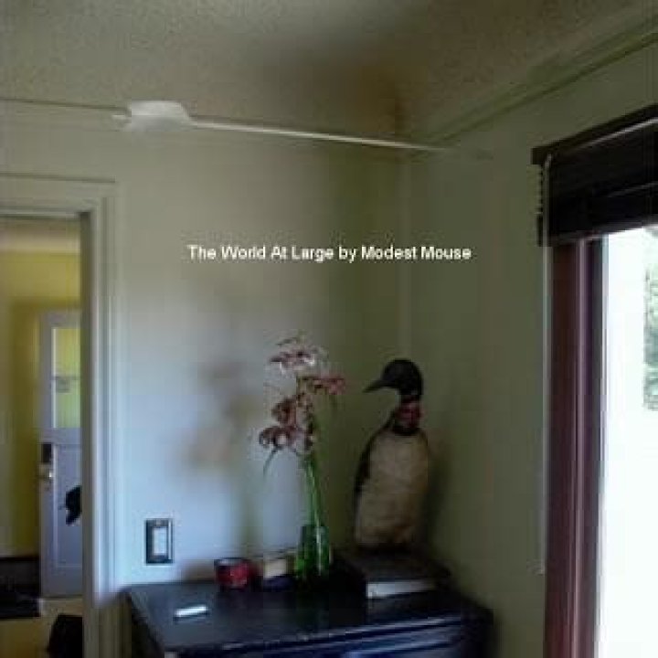 Modest Mouse - World At Large Lyrics Meaning